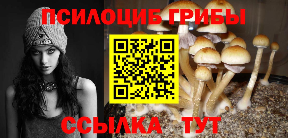 Псилоцибиновые грибы мицелий  Псилоцибиновые грибы мухоморы  Екатеринбург  Вход с VPN 