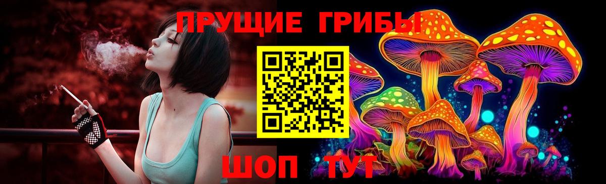 Псилоцибиновые грибы Psilocybine cubensis Екатеринбург